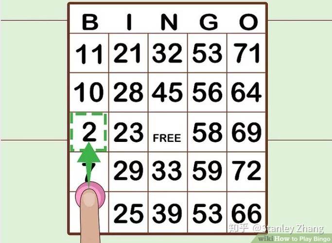 bingo游戏网址（bingo游戏图解）